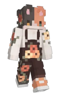 Front of Miniprism's skin