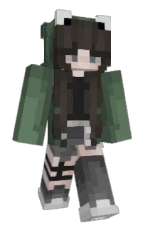 Front of baixzhi's skin