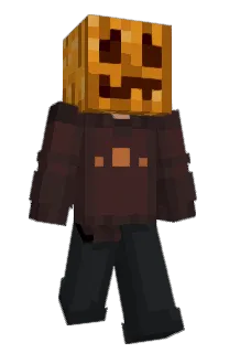 Front of Aronix's skin
