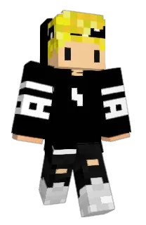 Front of NZAI's skin