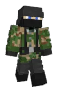 AceShady313