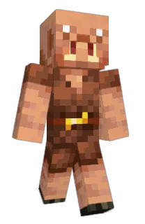 Front of journal3082's skin