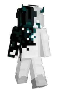 amir__9999's Minecraft skin