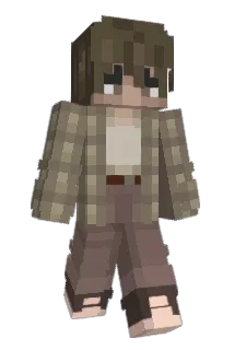 b1bees Minecraft avatar full body