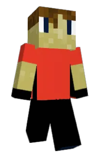 Front of Ceed's skin