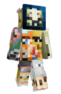 Front of RoinKim's skin