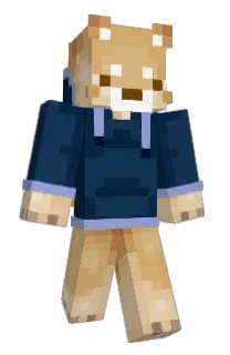Front of RASHYAYA's skin