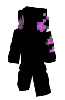 Front of vkalro's skin