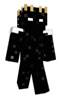 Front of polmc's skin