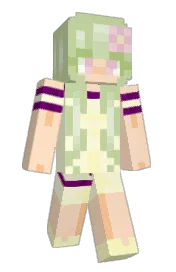 Skin preview