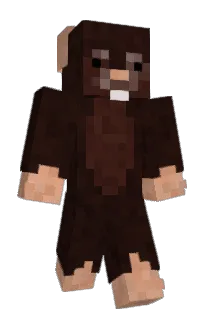 Front of debugempty's skin