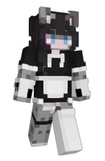 Front of Aerialx3's skin
