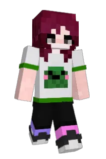 b1tzr Minecraft avatar full body