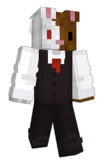 Front of _Flarky_'s skin