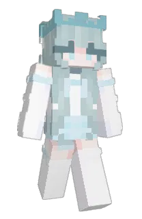 Front of 5IM's skin