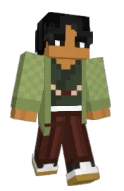 Skin preview