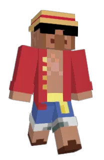 Front of Codecksi's skin