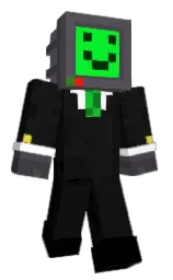 Minecraft skin — Classic model