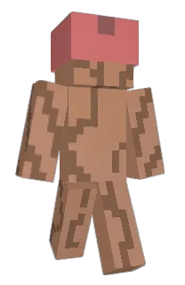 Front of Narthex's skin