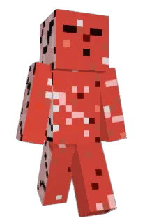Front of Sa1iami's skin