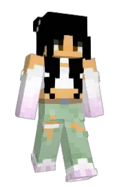 Skin preview