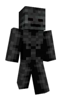 Front of Jiekie's skin