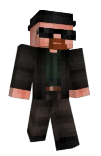 Front of tocad's skin