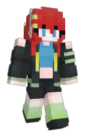 Skin preview