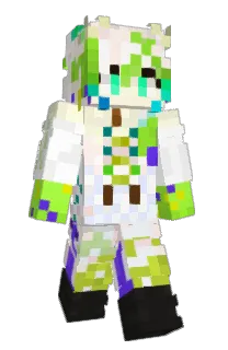 Front of Maruhy's skin