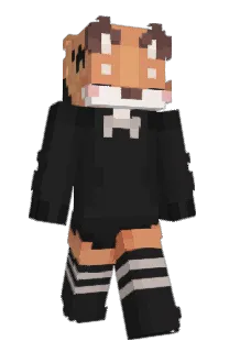 Front of Schloopa's skin
