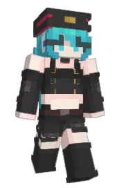 Skin preview