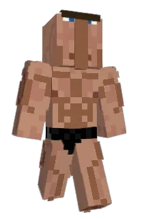 Front of Minecraft skin