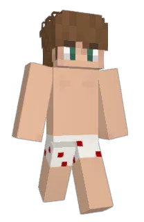 Front of 3sil's skin