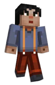 Skin preview