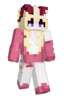 Front of Remyiez's skin