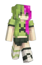 Skin preview