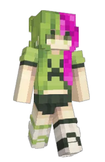 Front of buddhacatti's skin