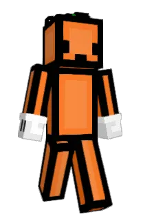 Front of 1stc's skin