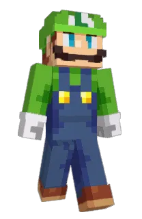 Front of Turb21's skin