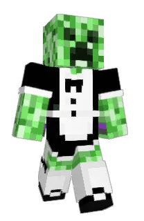 Front of Voideey's skin