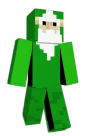 Skin preview