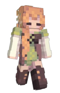 Front of aisho's skin