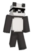 Agrins