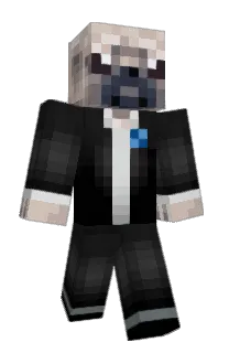 Front of zgoonz's skin