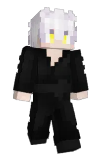 Front of HWER's skin