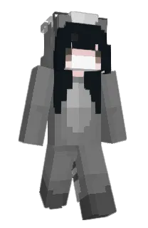 Front of hZip's skin