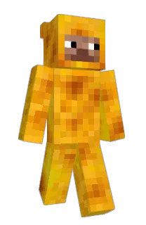 Front of Perds_'s skin