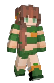 Skin preview