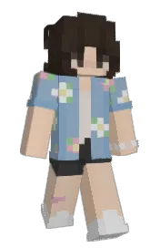 Skin preview