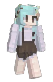 Skin preview